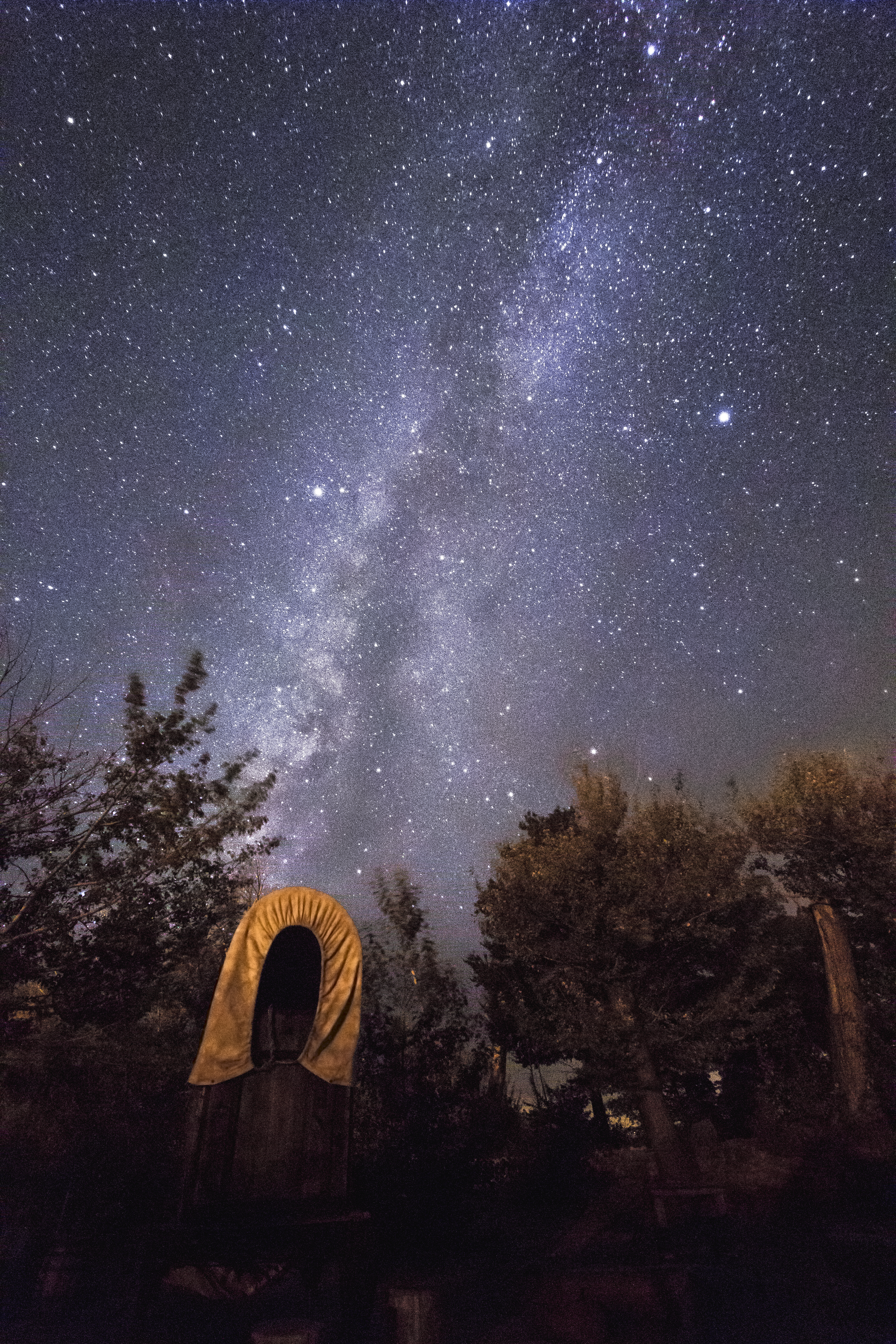 A glittering sky of stars glows above a historic covered wagon.