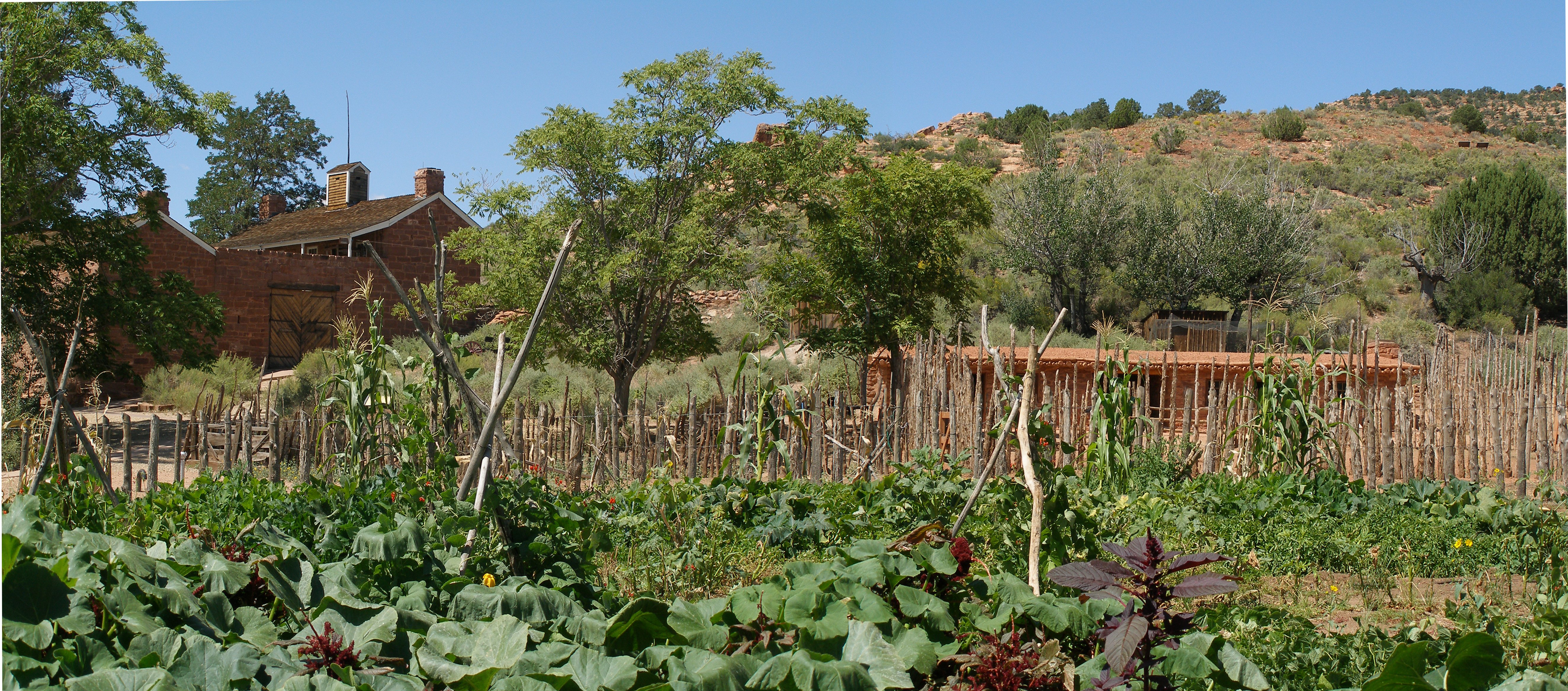 A lush garden filled with settler and native crops grows in front of a sandstone fort