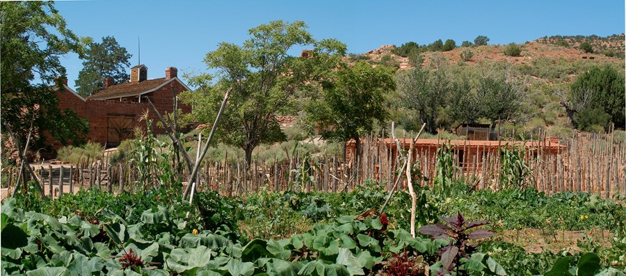 A lush garden filled with settler and native crops grows in front of a sandstone fort