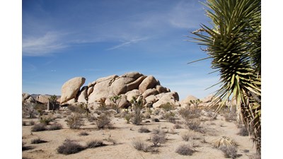 Under a large rock in the distance you can see a pit toilet and road.