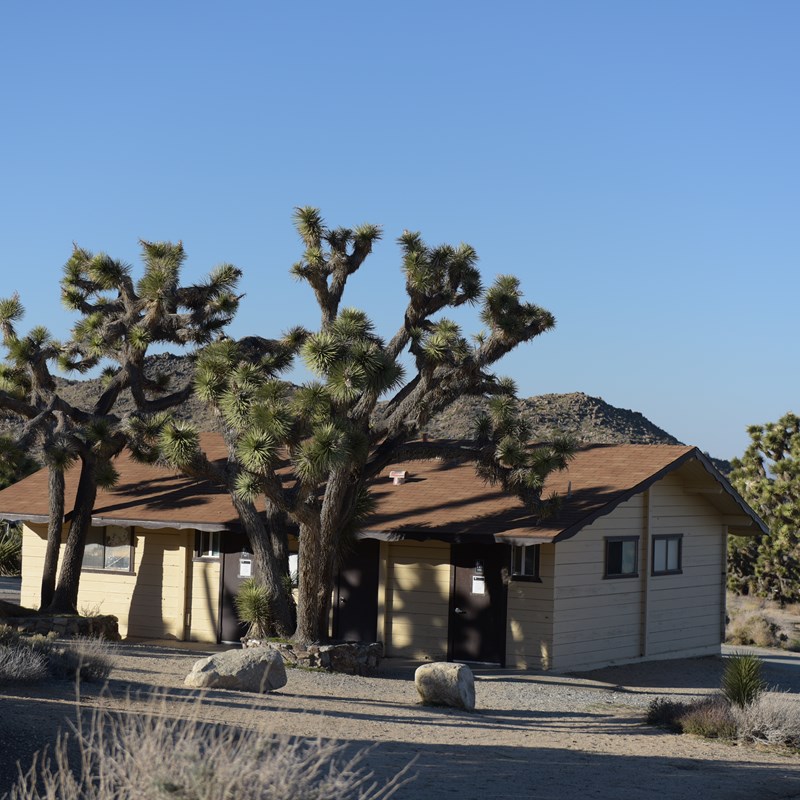 Black Rock Campground Joshua Tree National Park U S National