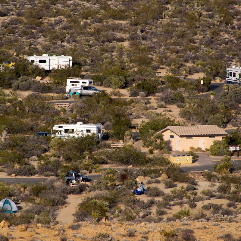 Cottonwood Campground Joshua Tree National Park U S National Park Service
