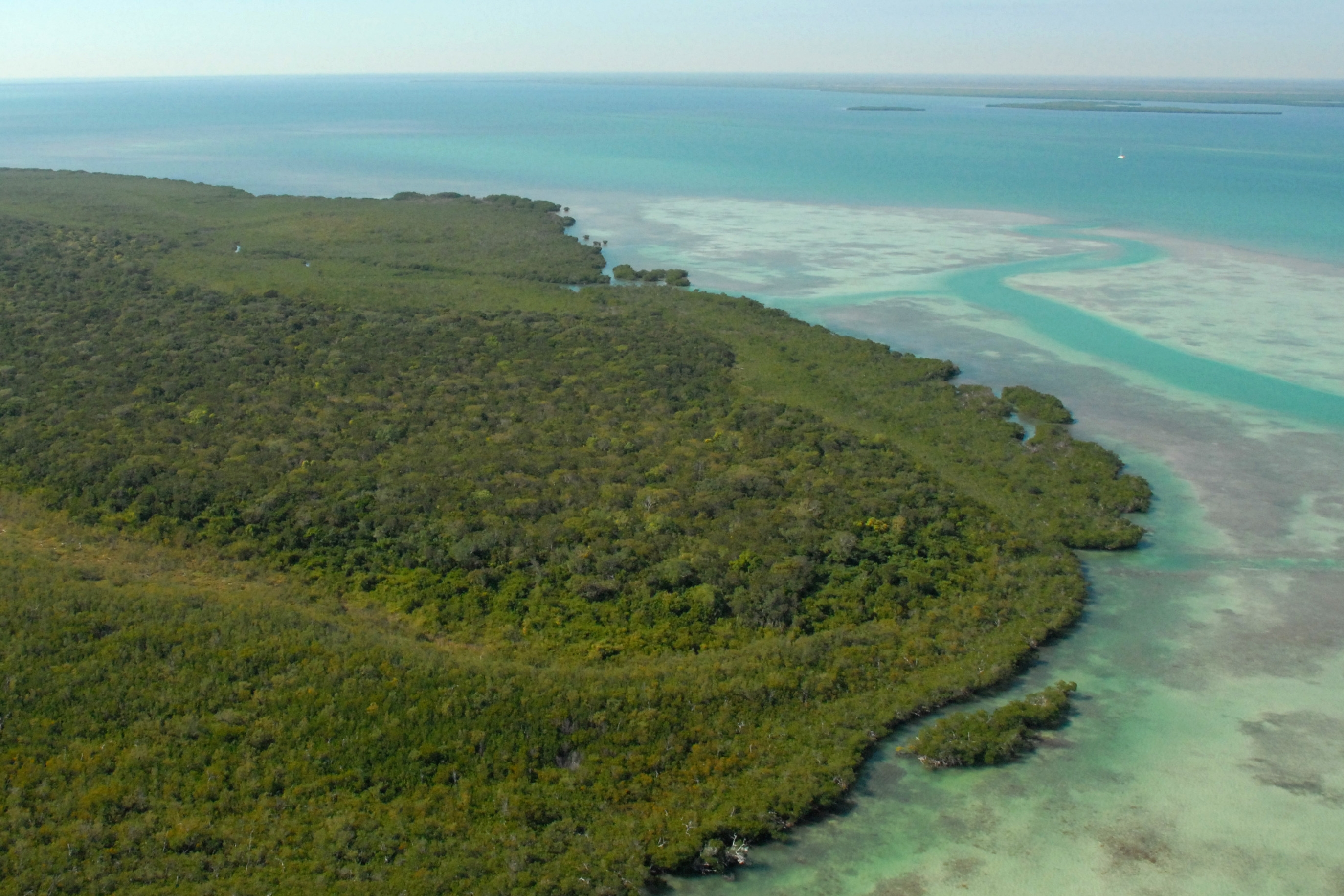 Aerial view of Totten Key.