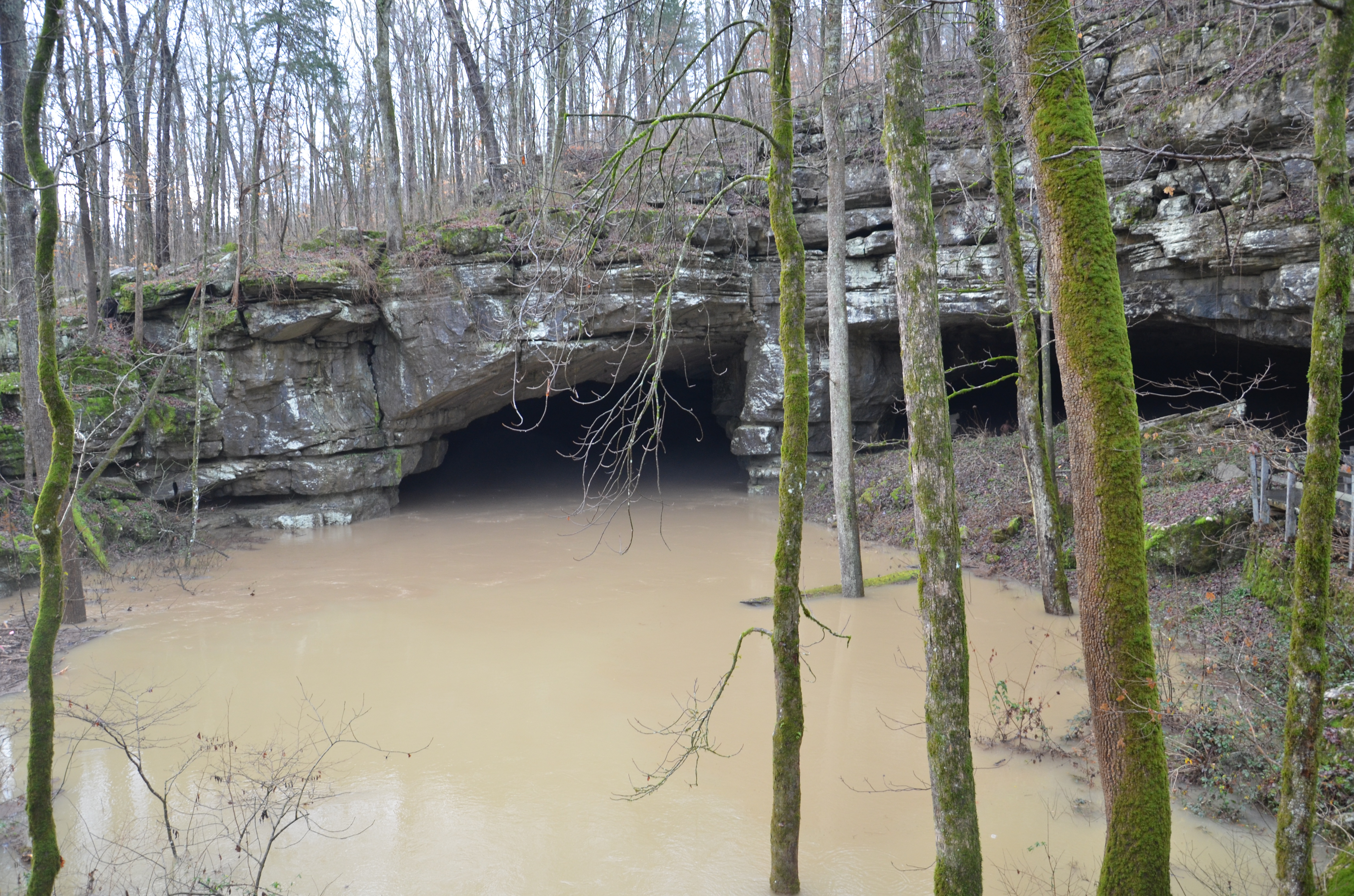 Winter flood in December 2015