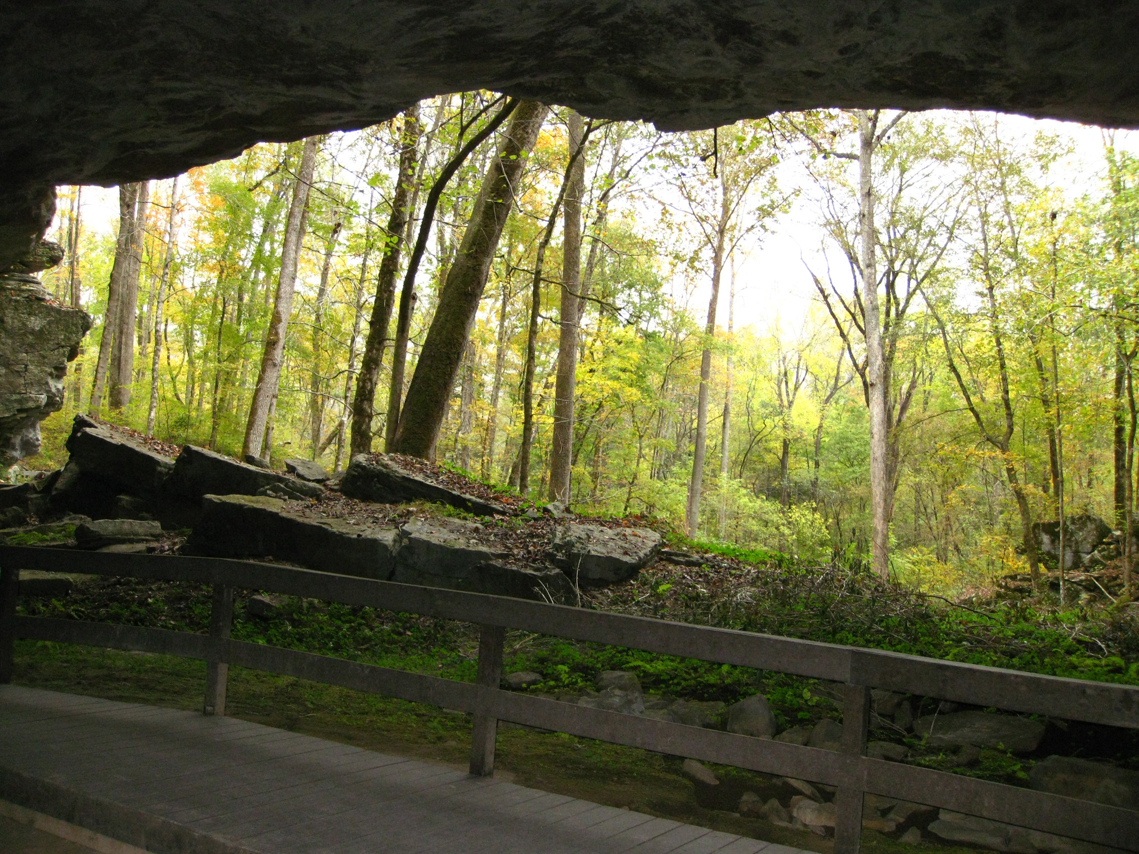 Looking out of the cave shelter