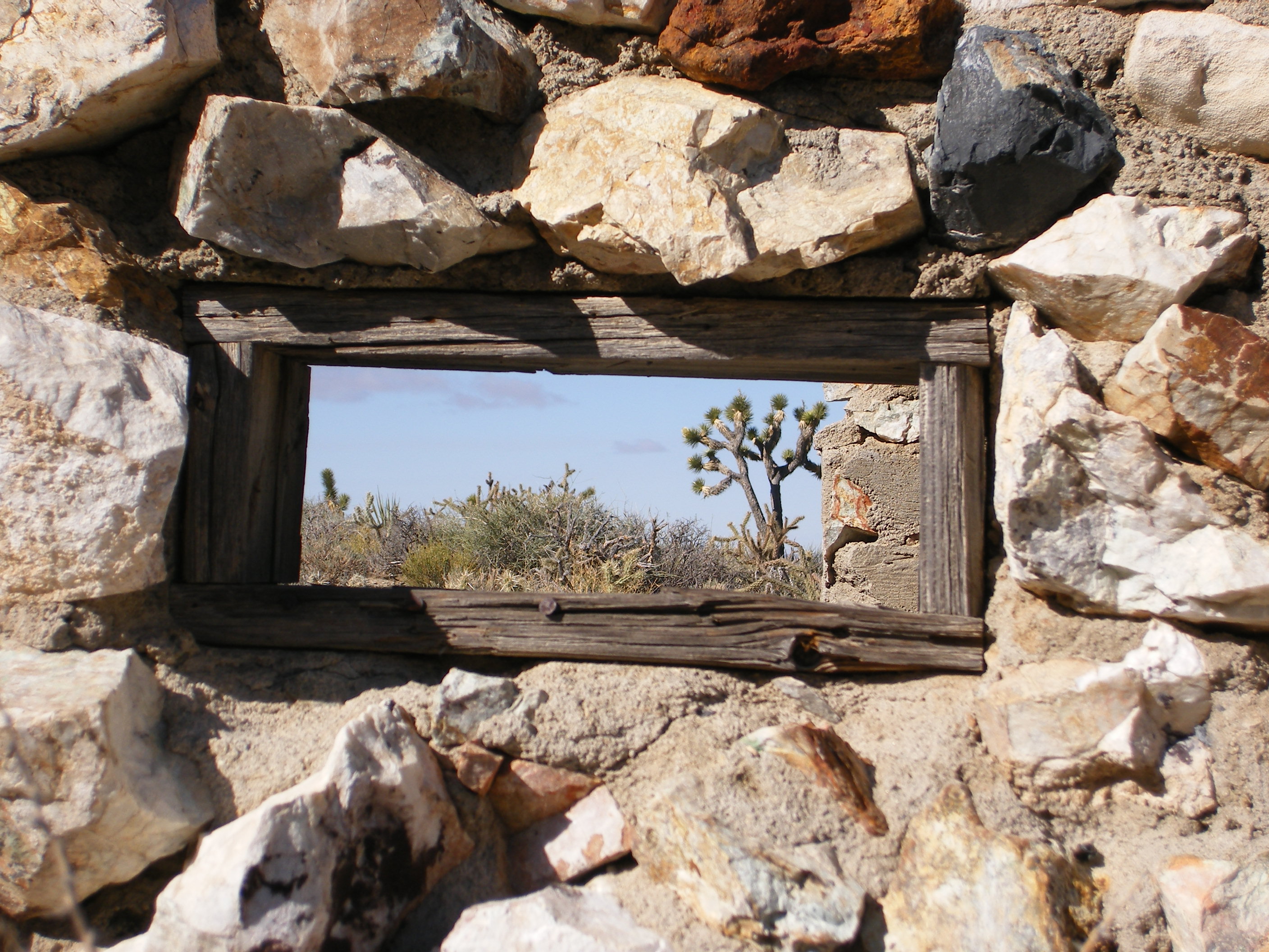 A Joshua tree seen though the window of an old miner's cabin
