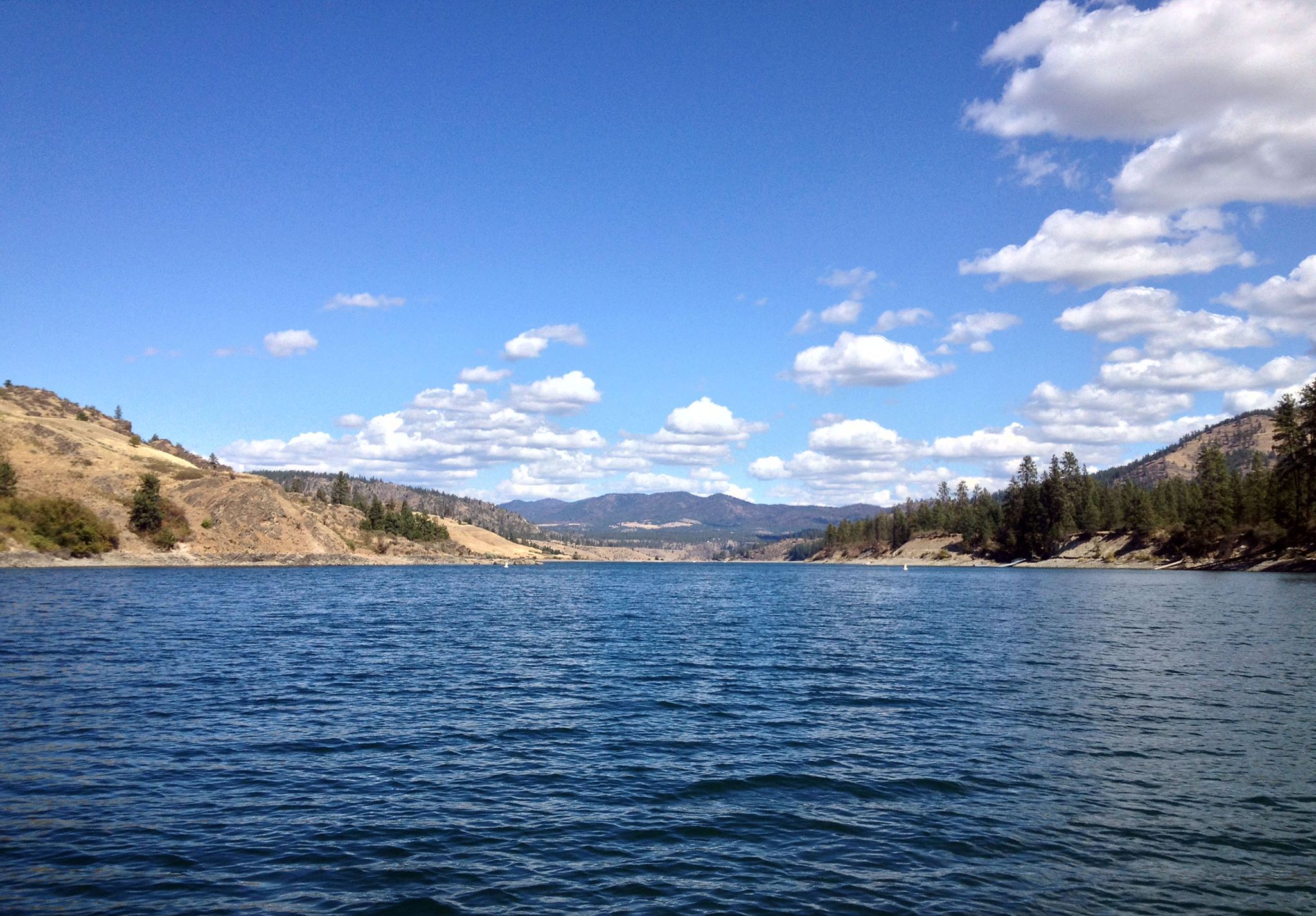 Looking down Lake Roosevelt with clear skies and treed shorelines.