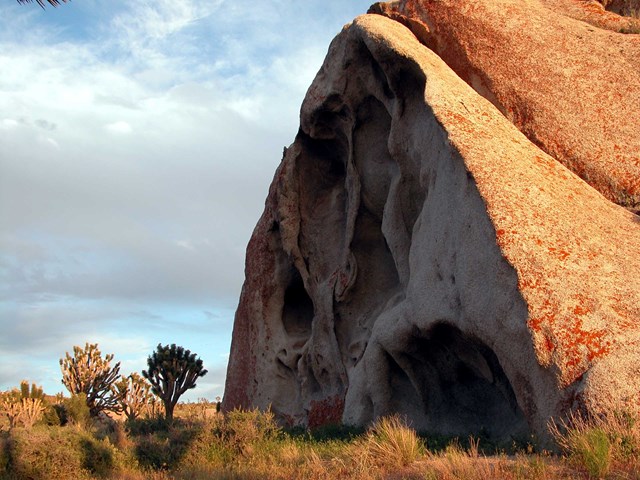 Castle Mountains National Monument