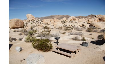A picnic table and fire ring are in a campsite that has a view looking out on a boulder field.