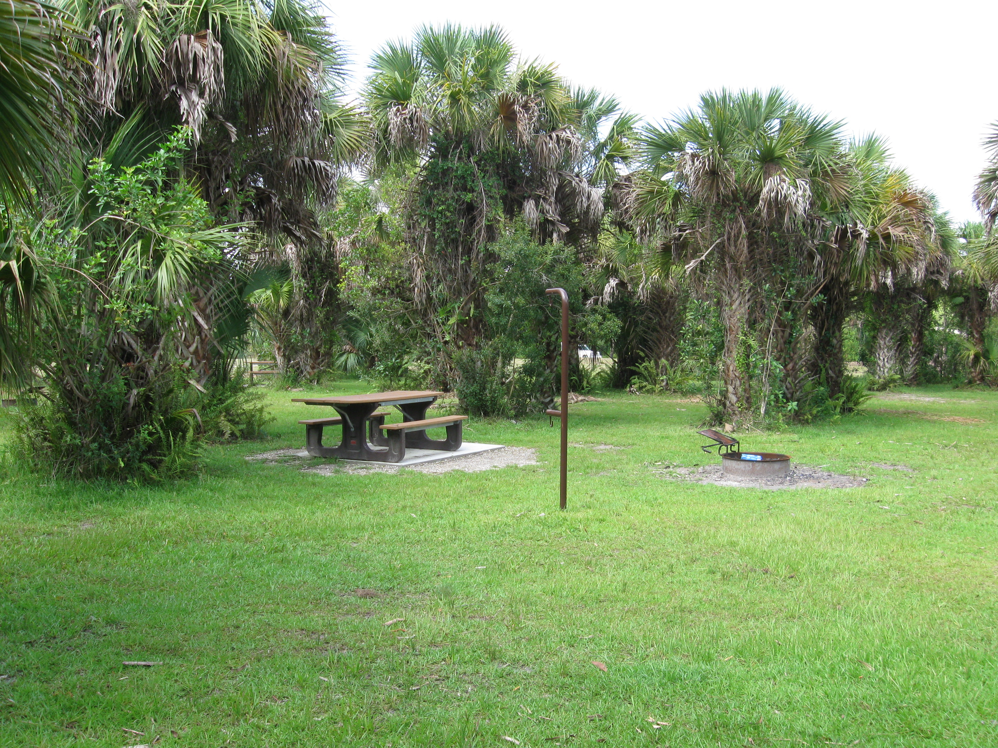 campsite with a picnic table and fire ring