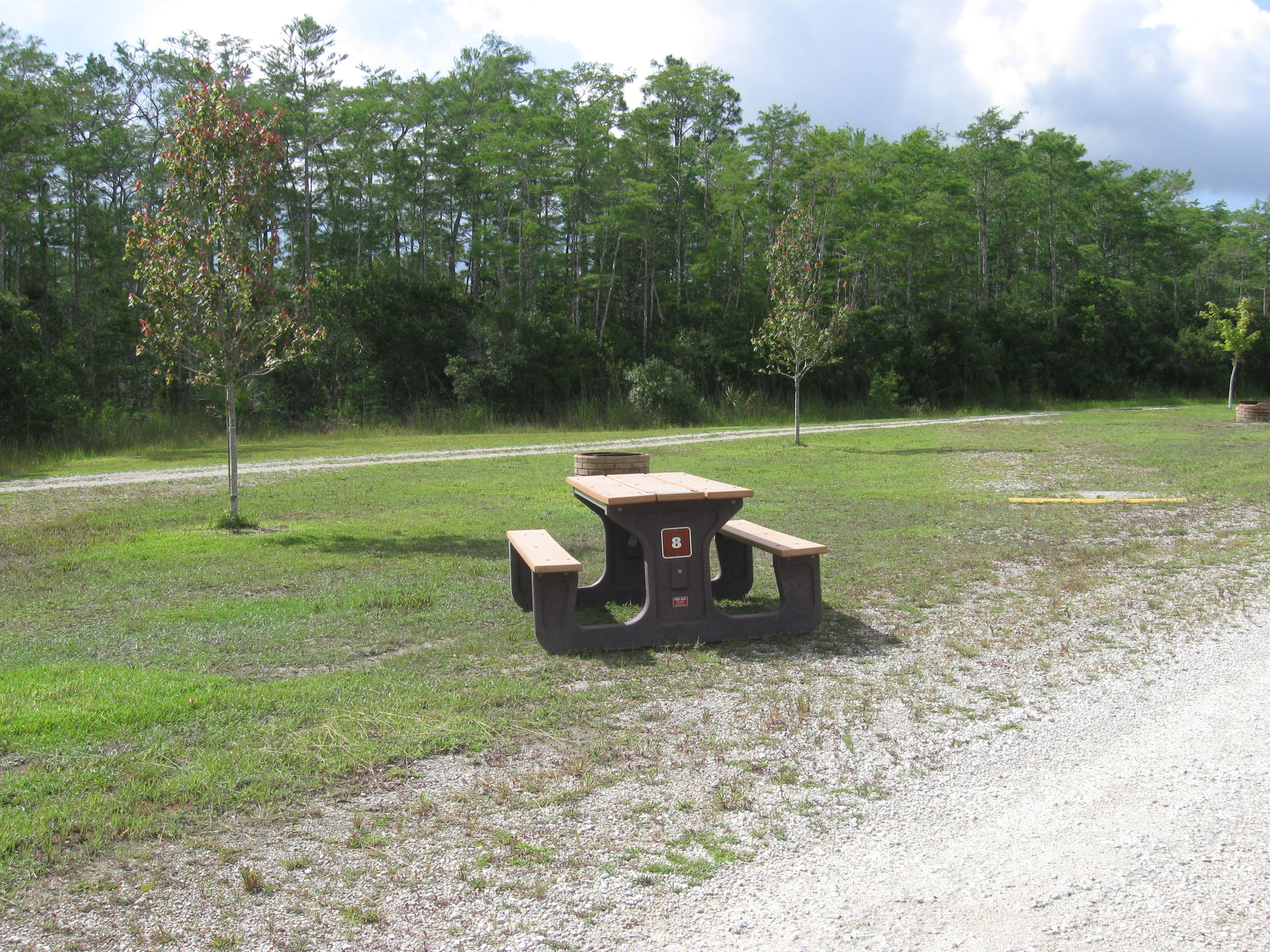 campsite with picnic table and fire ring