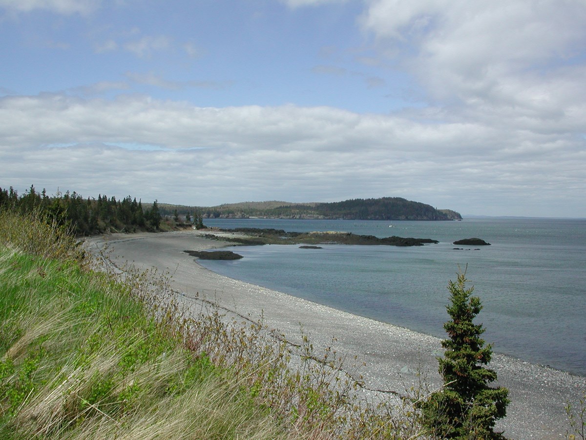 Raccoon Beach