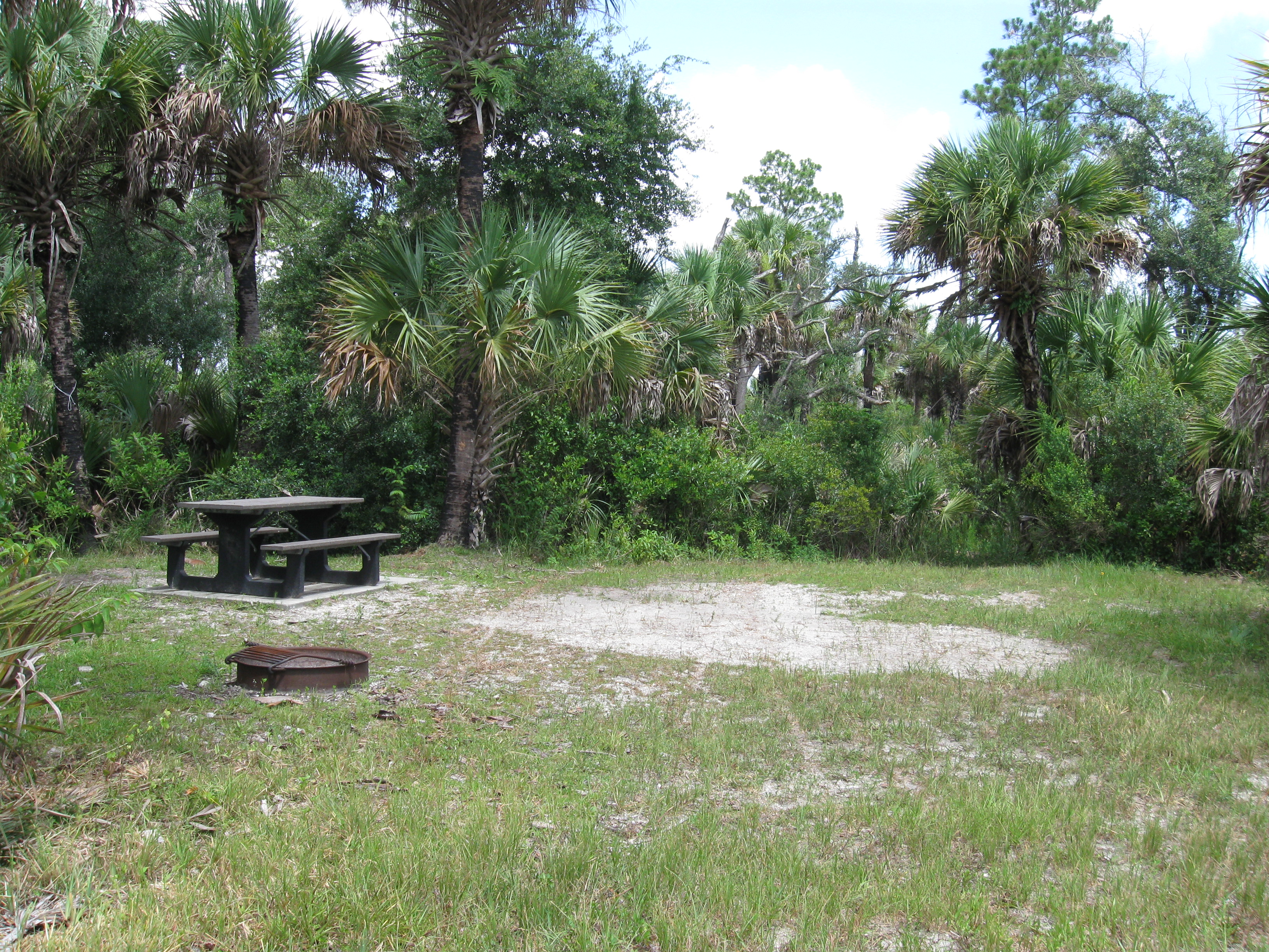 A campsite in Gator Head Campground with a picnic table and fire ring