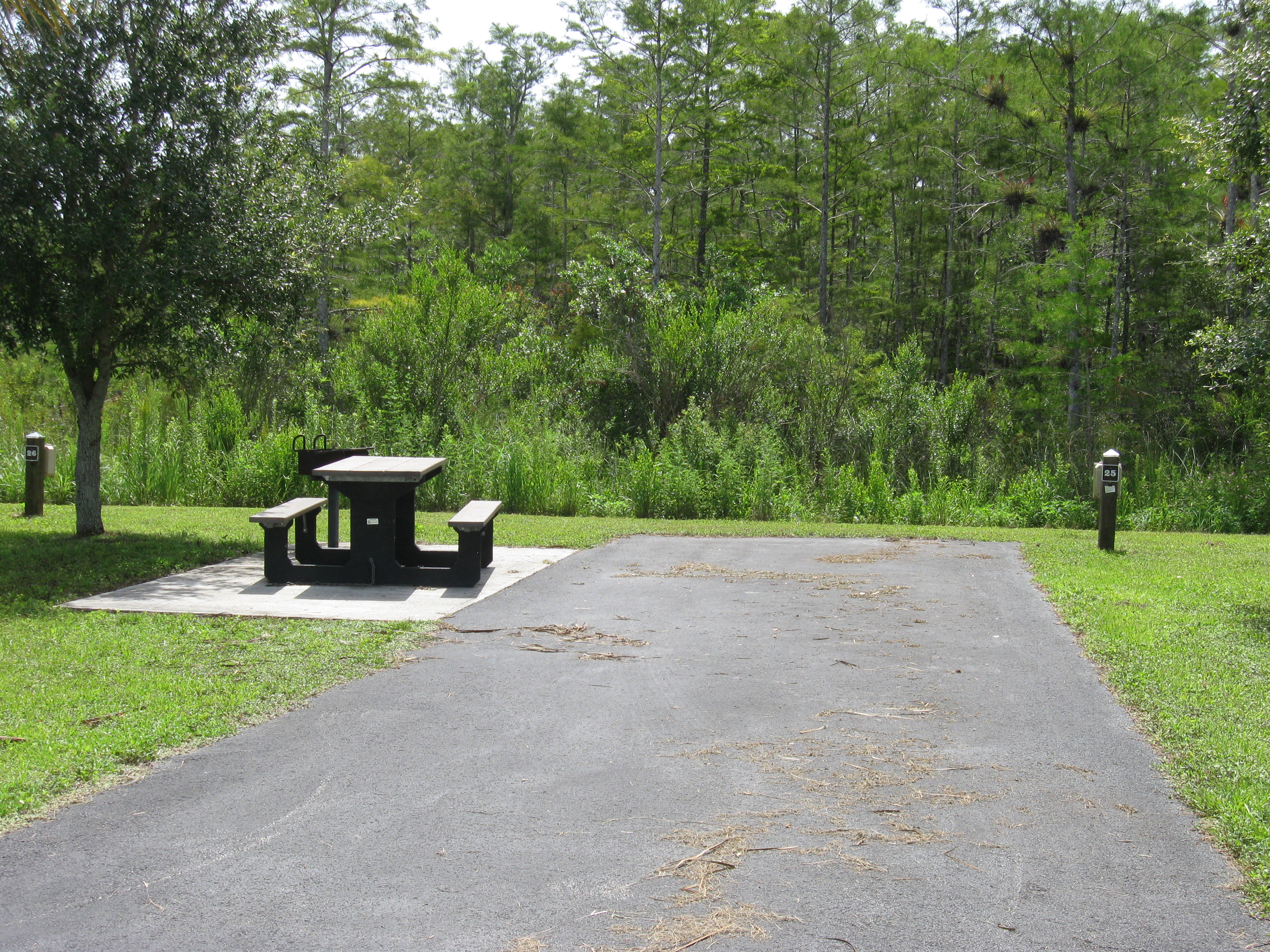 Campsite in Midway Campground with paved pad and picnic table