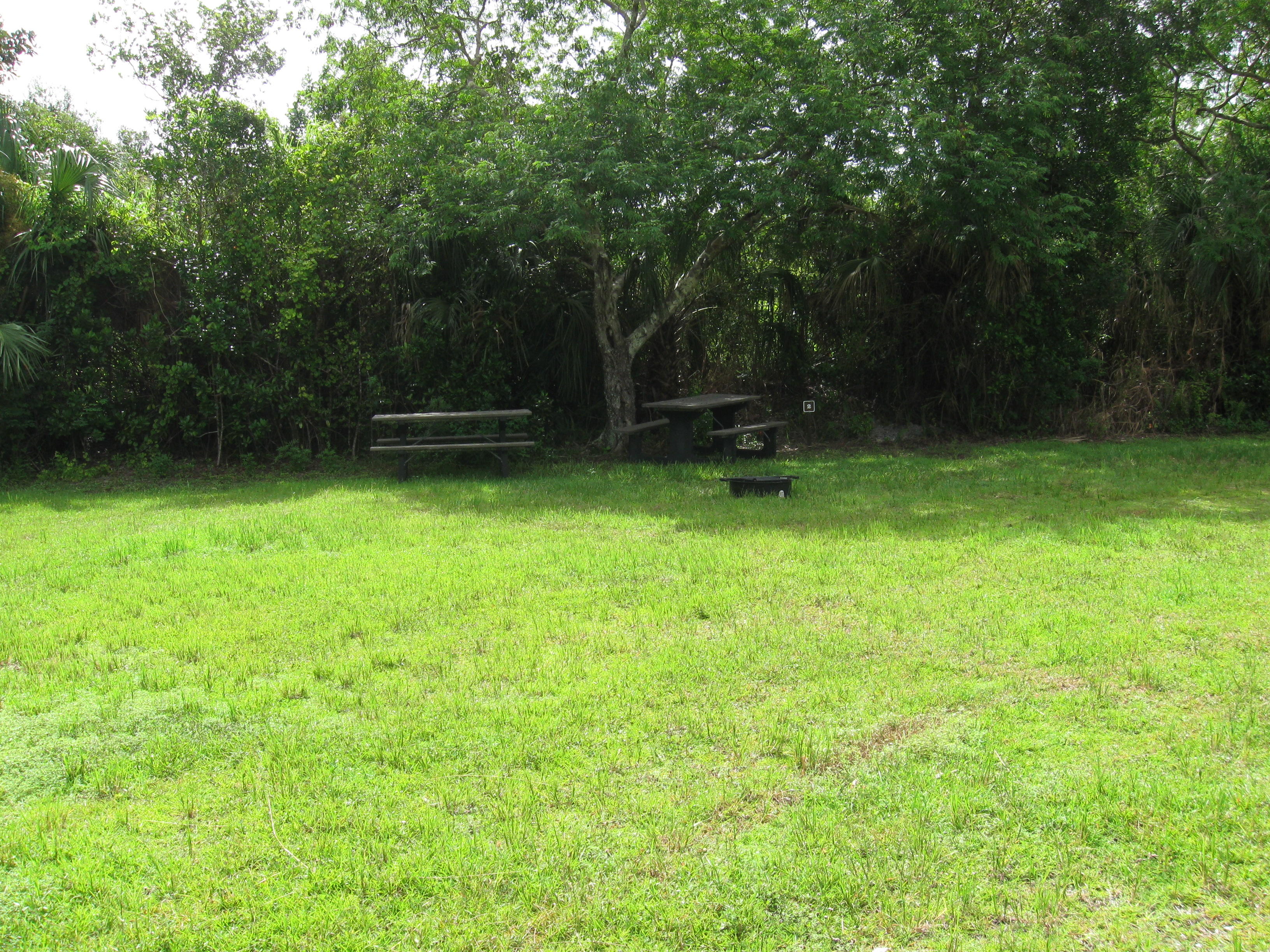 group campsite at Pinecrest with picnic tables