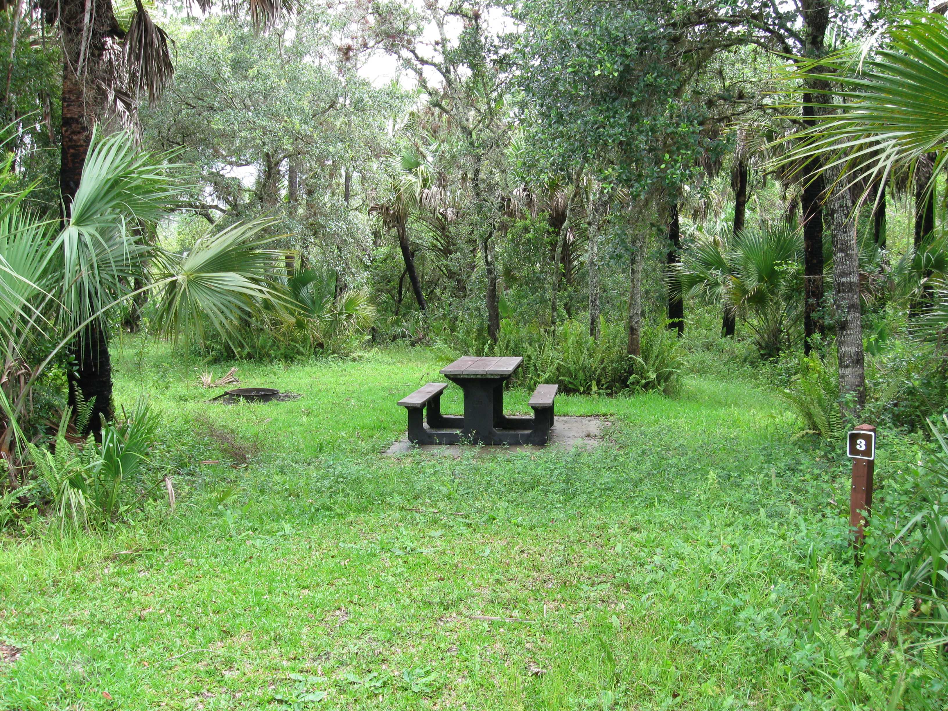 campsite at Pink Jeep Campground with picnic table and fire ring