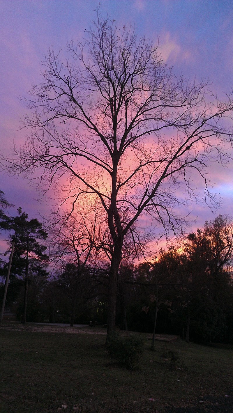Sunset Over The Oaks Sunset of blue, red, and orange sky behind The Oaks, Booker T. Washngton home