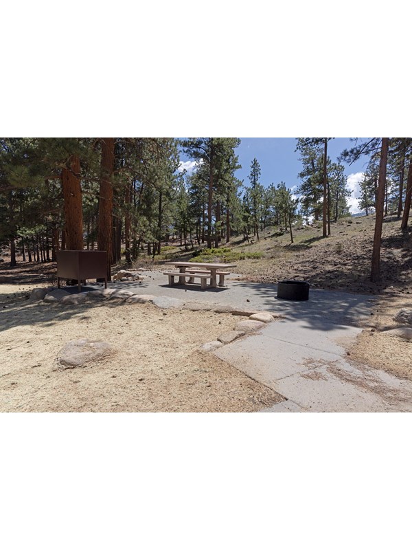 Tent Site in Moraine Park Campground with a concrete walkway