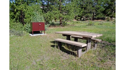 Picnic Table and Food Storage Locker in a meadow area
