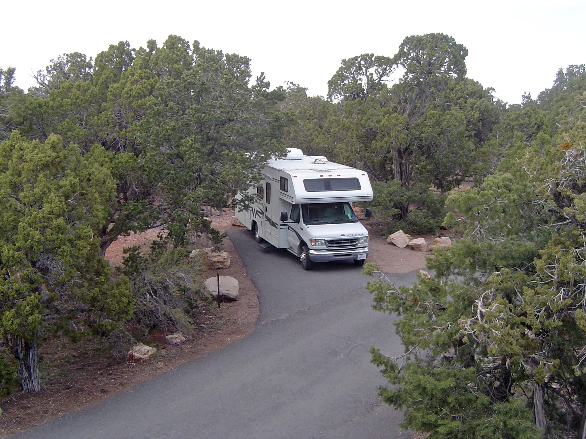 An RV parked on a paved surface, nestled in a desert scrub forest.