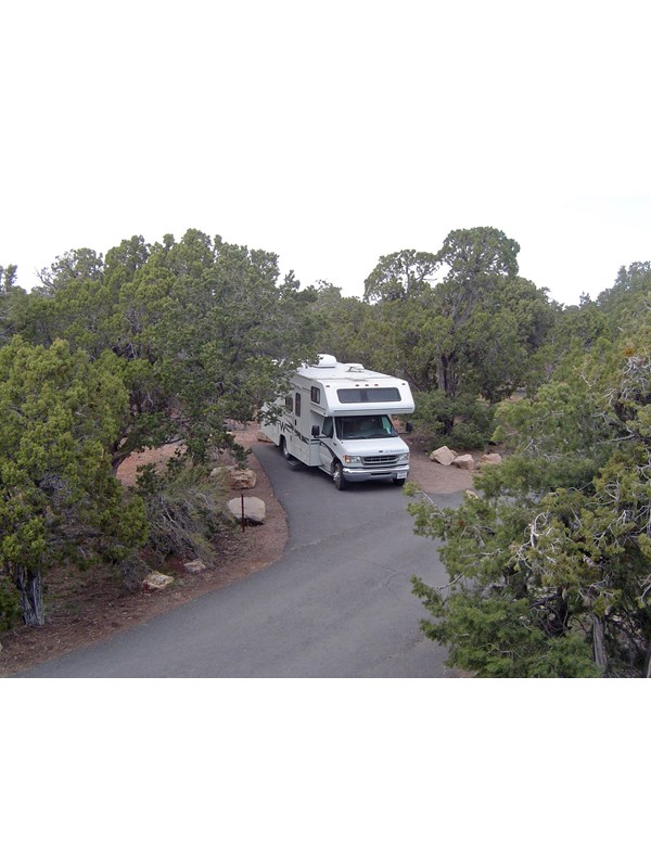 An RV parked on a paved surface, nestled in a desert scrub forest.