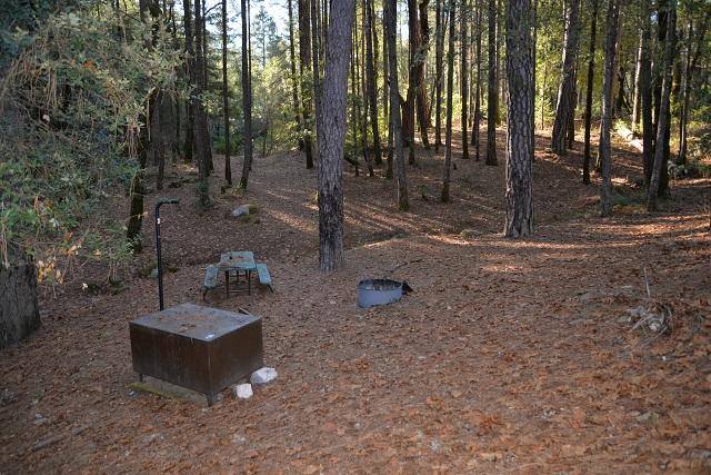 Site 1 at Sheep Camp, Whiskeytown, about 25 feet from the parking area