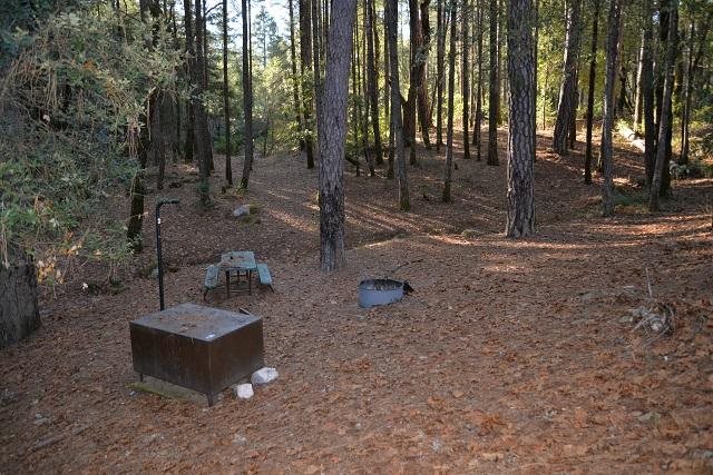 Site 1 at Sheep Camp, Whiskeytown, about 25 feet from the parking area