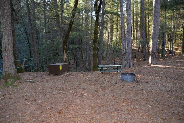 Site 2 at Sheep Camp with picnic table, fire pit and bear-resistant locker