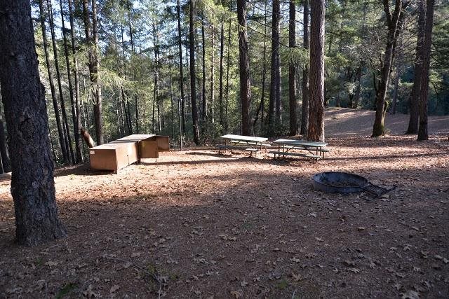 Site 4 at Sheep Camp, one of four tent-only sites sharing a single vault toilet