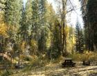 Image of campground site
