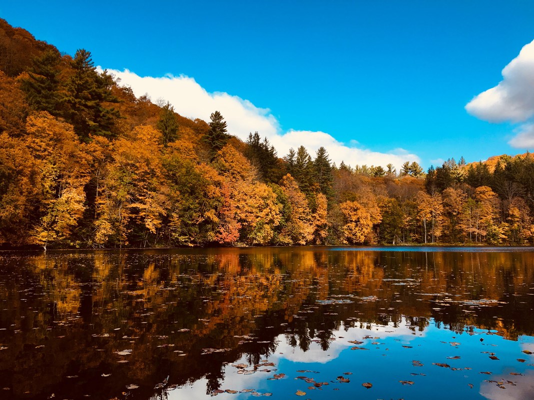 pond surrounded by fall foliage with blue sky above