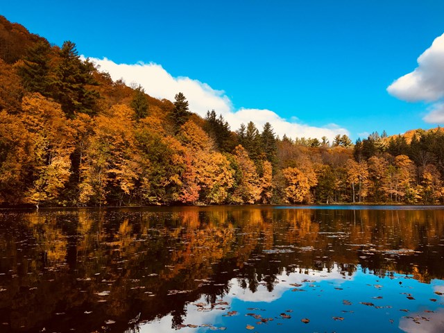 pond surrounded by fall foliage with blue sky above