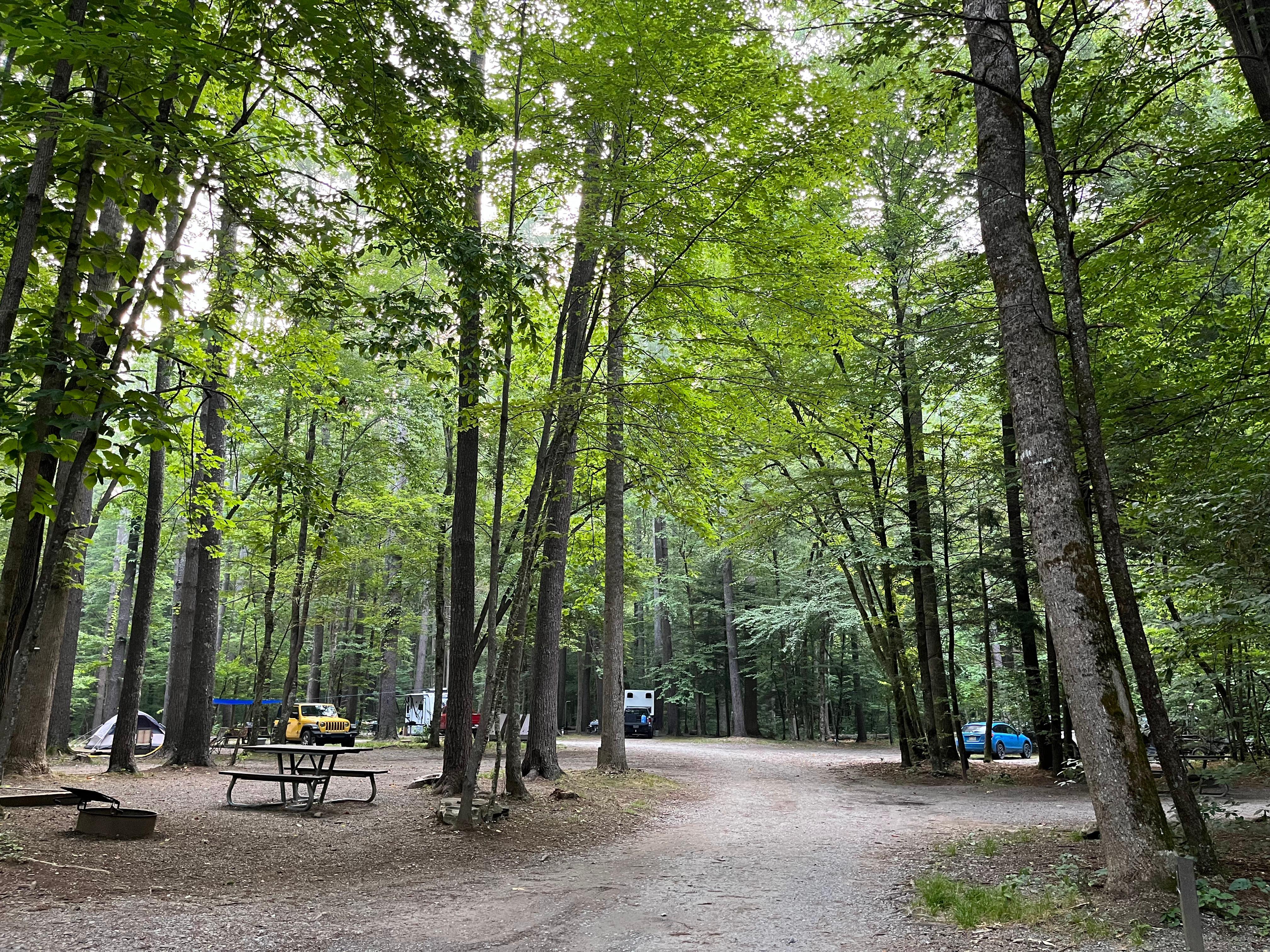 Several campsites off of a gravel road through a campground. Tents, cars, and trailers visible.