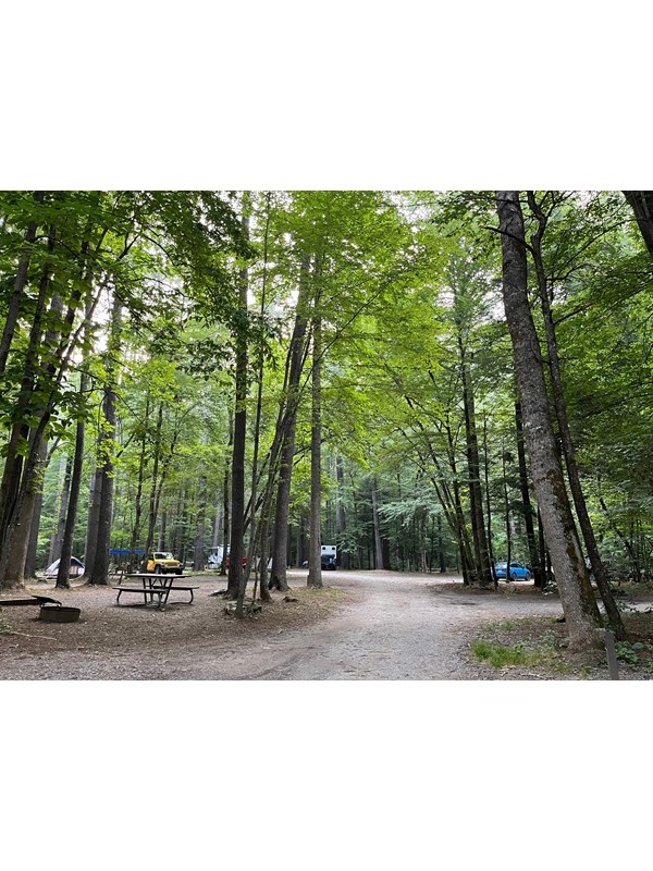 Several campsites off of a gravel road through a campground. Tents, cars, and trailers visible.
