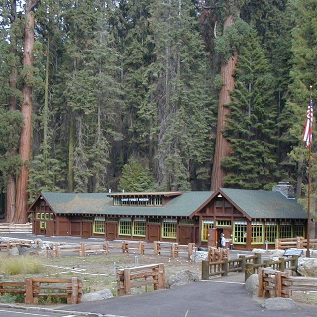 Giant Forest Museum, a long one-story log building painted brown with green window trim