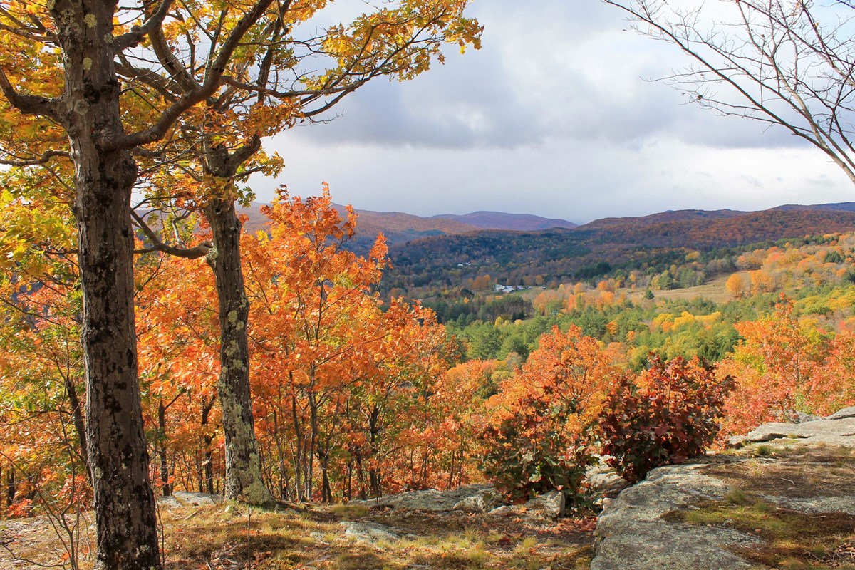 scenic overlook with town below surrounded by fall foliage