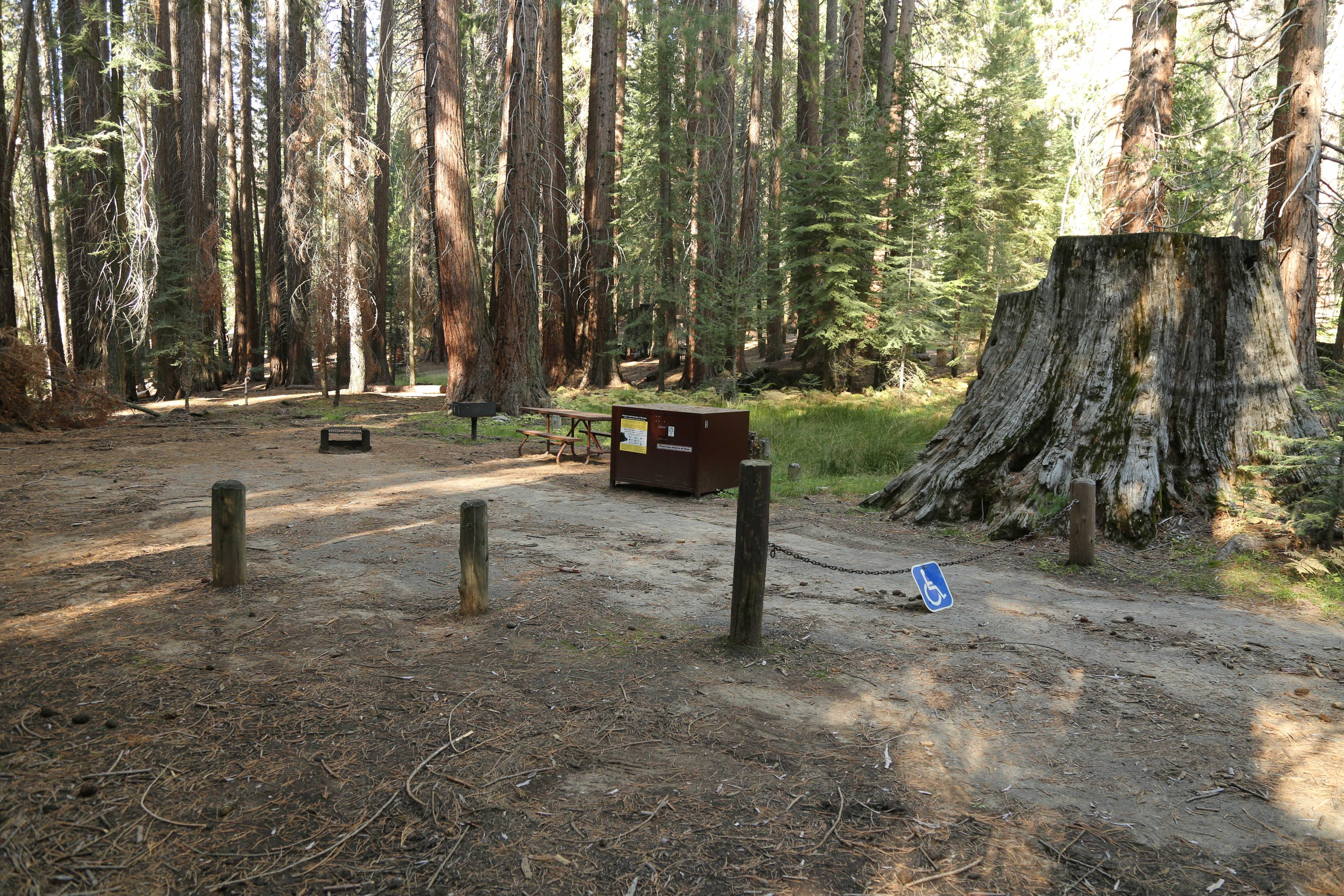 A marker with an accessibility symbol near a forested campsite