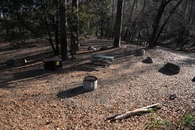 Site 1 at Brandy Creek Primitive Campground, Whiskeytown, showing picnic table, fire pit and bear-resistant locker