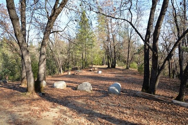 Site 2 at Brandy Creek Primitive Campground seen from the parking pullout