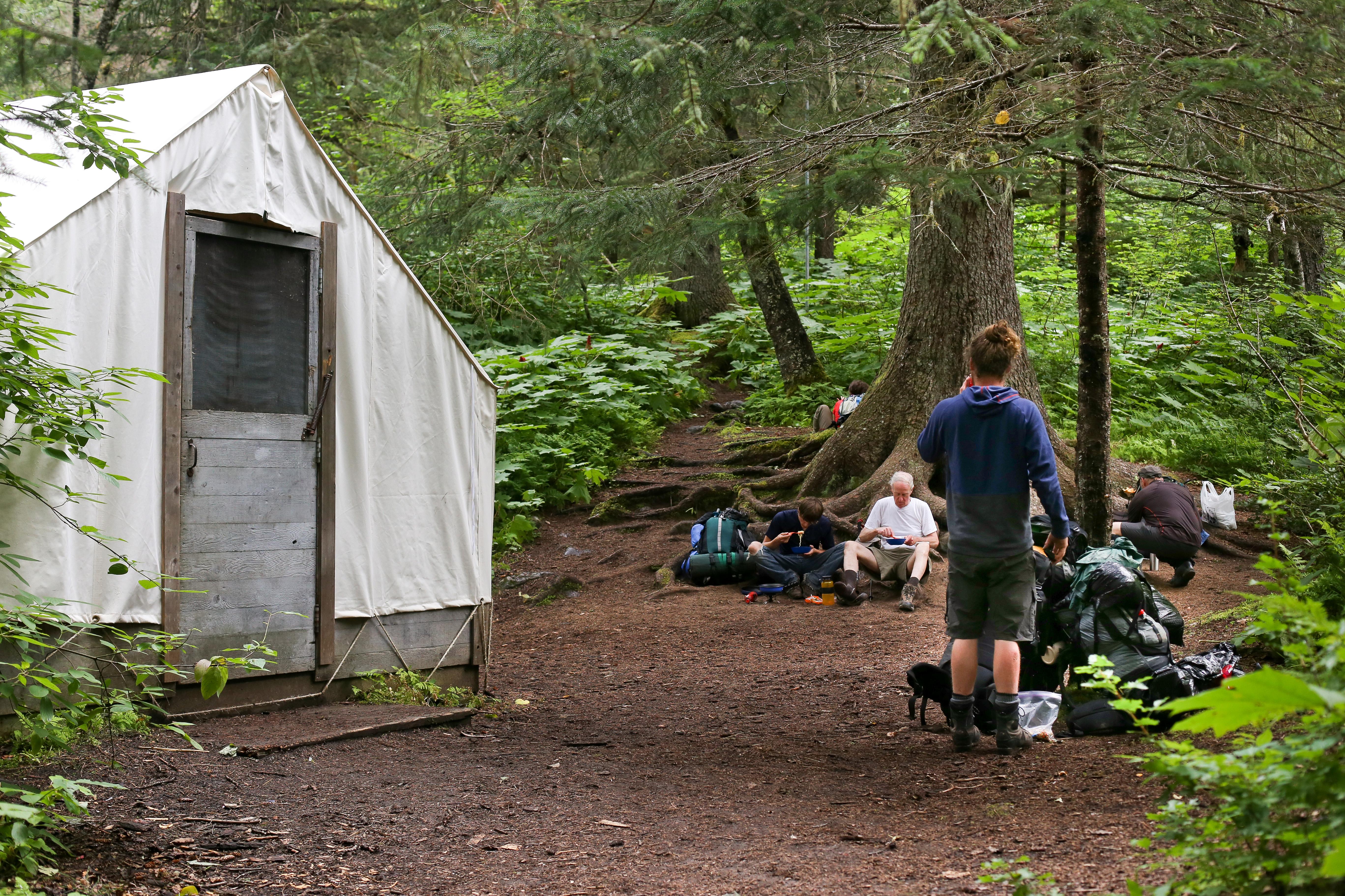 White tent structure and people sitting at the base of a tree