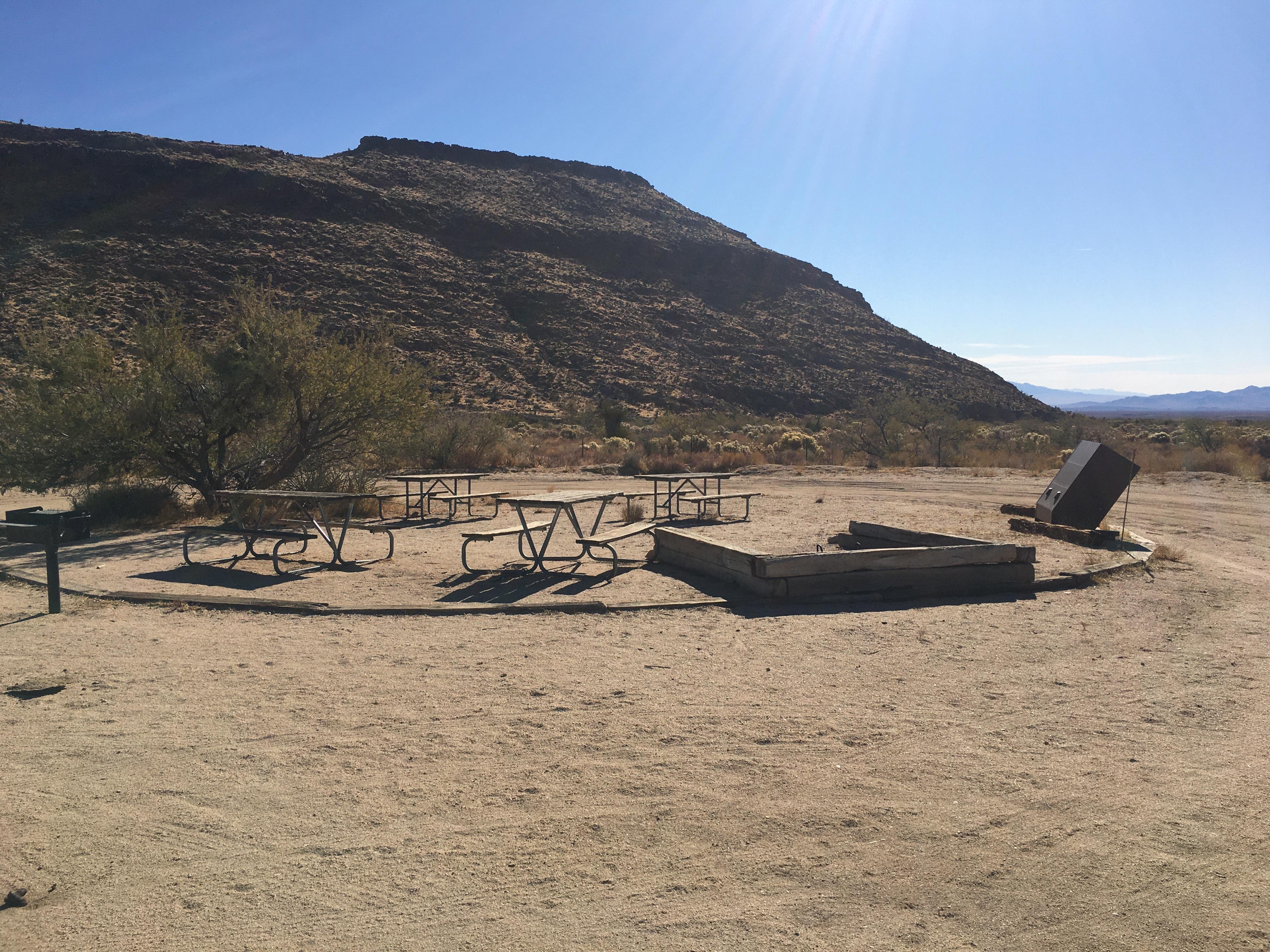 Four picnic tables, a BBQ pit, a fire pit, a garbage receptacle, and a shade tree