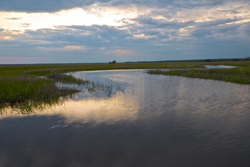 Great Egg Harbor River Winding river surrounded by grasslands on a cloudy day.