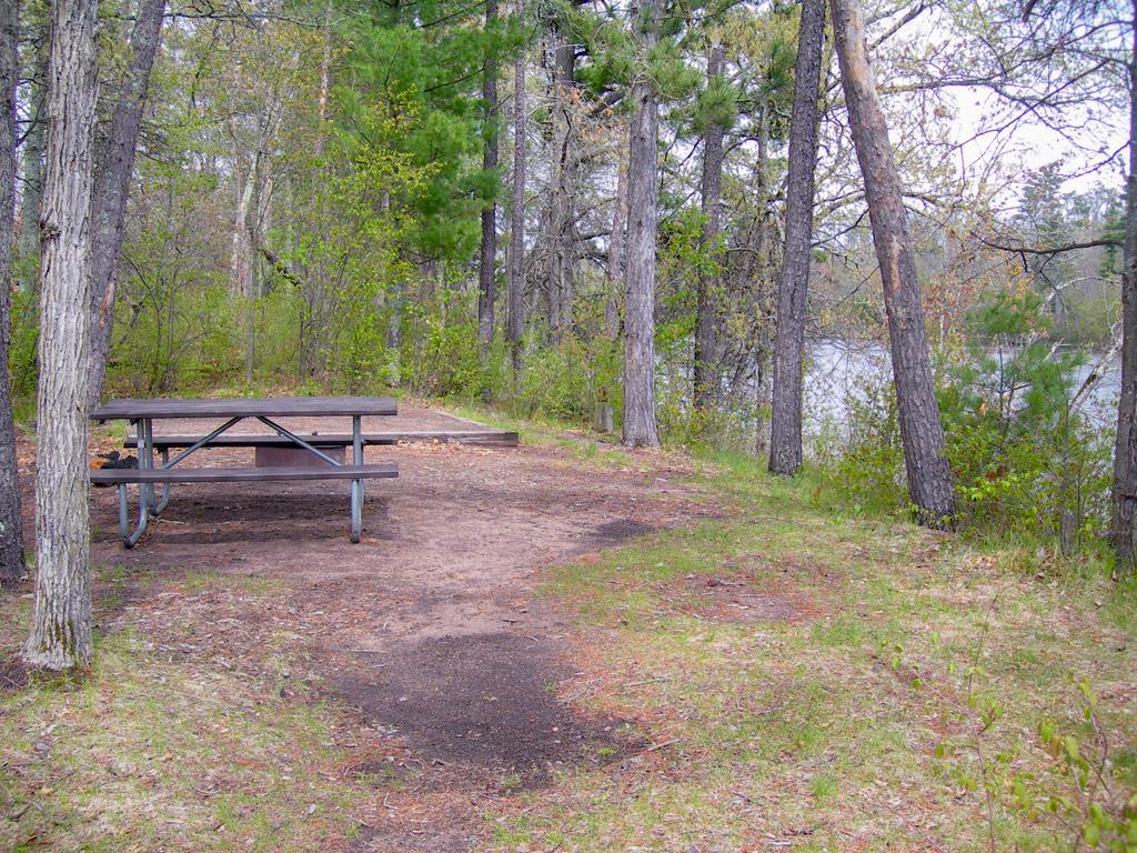 A picnic table and a fire ring in an open grass space surrounded by trees and shrubs.
