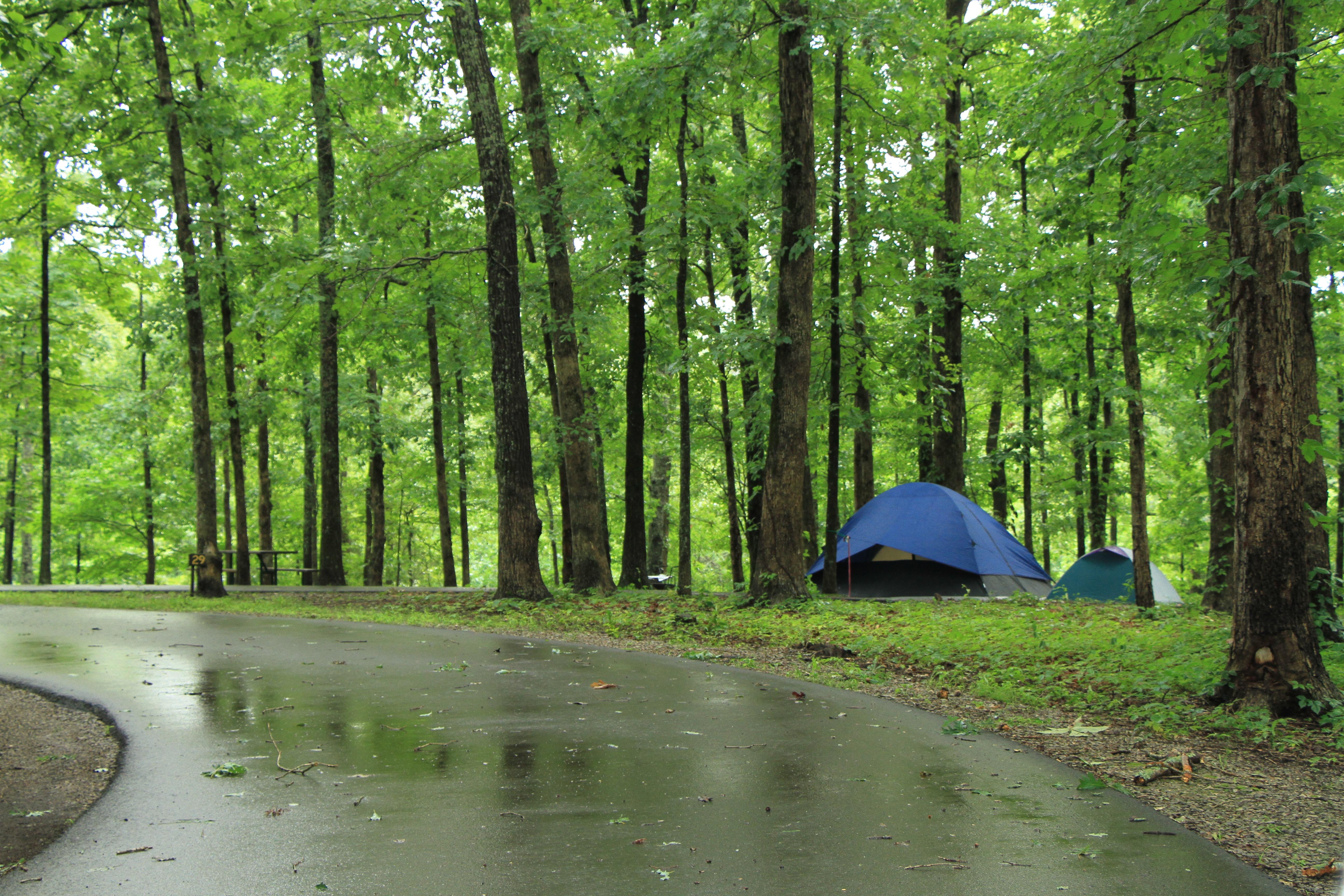 Two blue tents are set up at campsite 29. The site is surrounded by green trees.