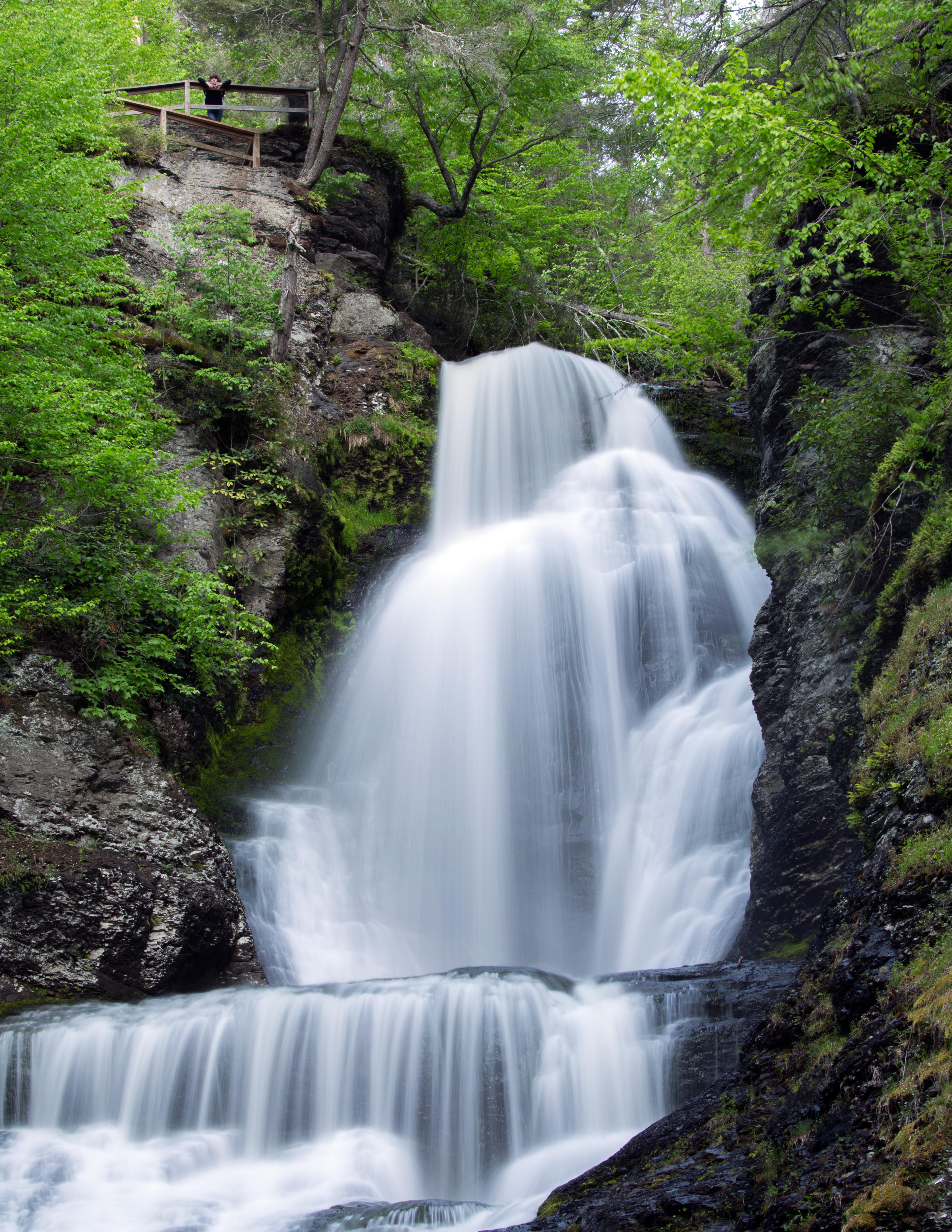 A strongly running Dingmans Falls waterfall surrounded by plants.