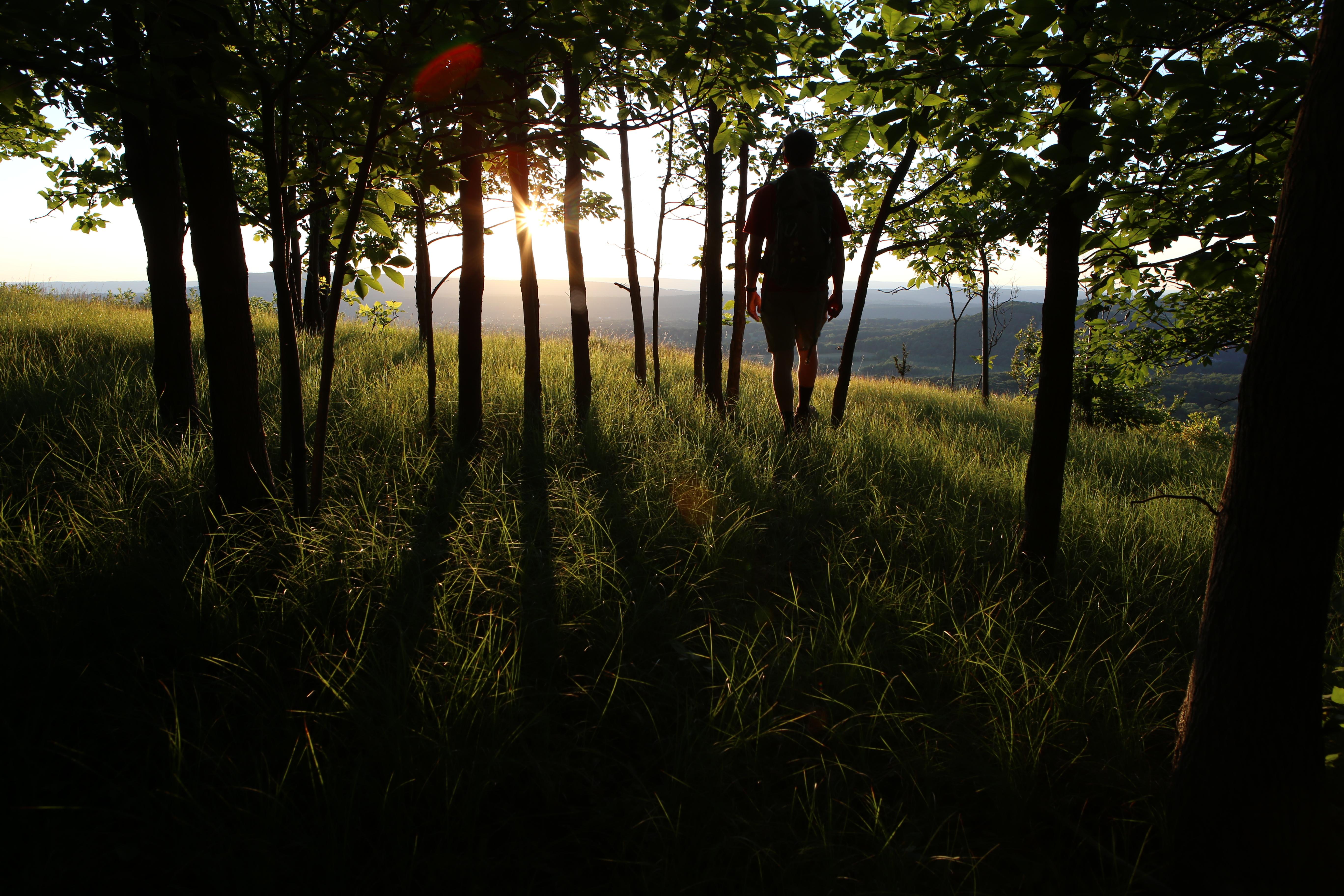 Hiker in trees at overlook with sunset in background