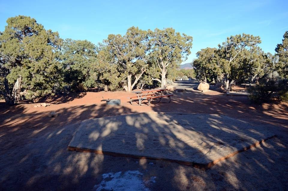 Campsite featuring a picnic table and fire pit amongst the trees in Natural Bridges.