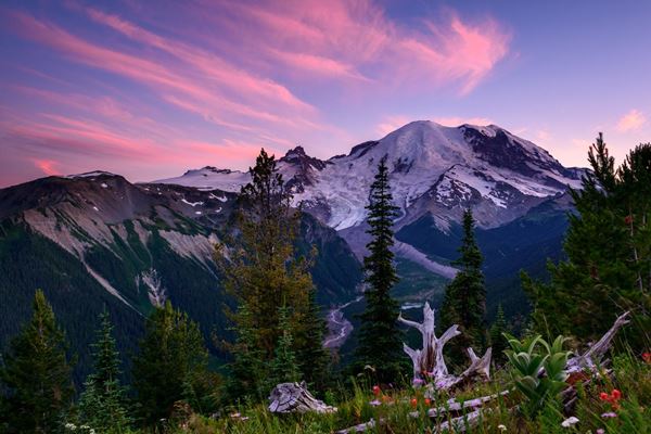 A purple and pink streaked sky over the peak of Mount Rainier and the forested valley below.