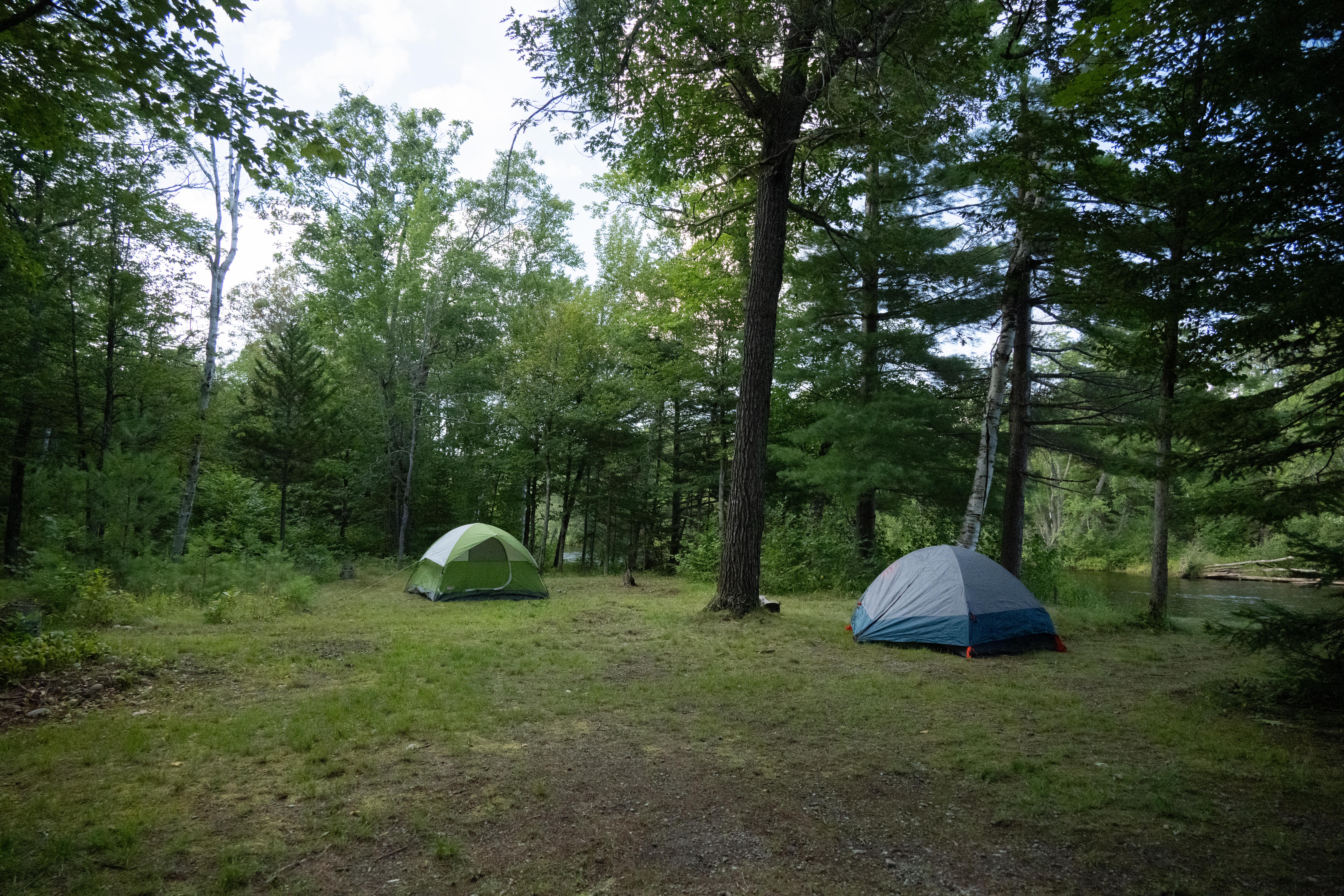 Two tents pitched on a flat grassy surface in the woods, a river runs in the background.