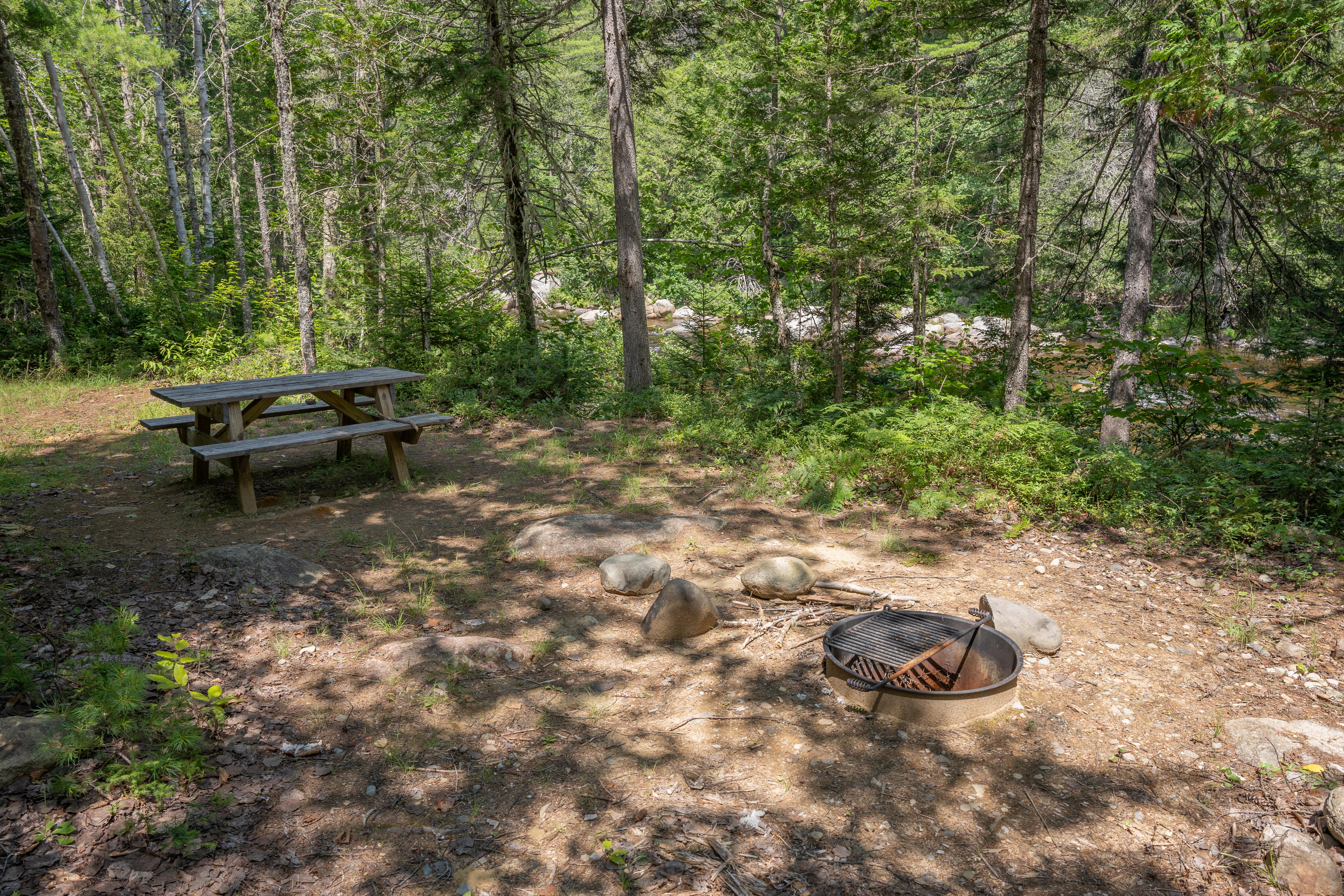 A picnic table, fire ring, and clearing for a tent on the bank of Wassataquoik Stream.